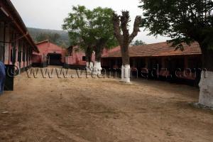 haras a vendre Le Haras de ChaouChaoua de Tiaret, vente de chevaux arabes