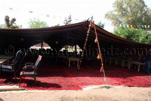 Kheima pour invités au Salon du cheval de Tiaret Le Haras de ChaouChaoua de Tiaret, vente de chevaux arabes