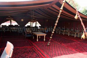 Khaima pour invités Le Haras de ChaouChaoua de Tiaret, pour la vente de chevaux arabes