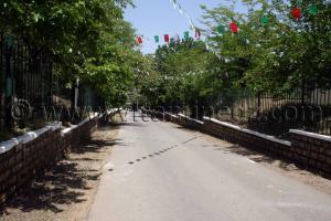 Le Haras de ChaouChaoua de Tiaret, vente de chevaux arabes