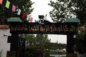 Le Haras de ChaouChaoua de Tiaret, elevage de chevaux arabes et barbes