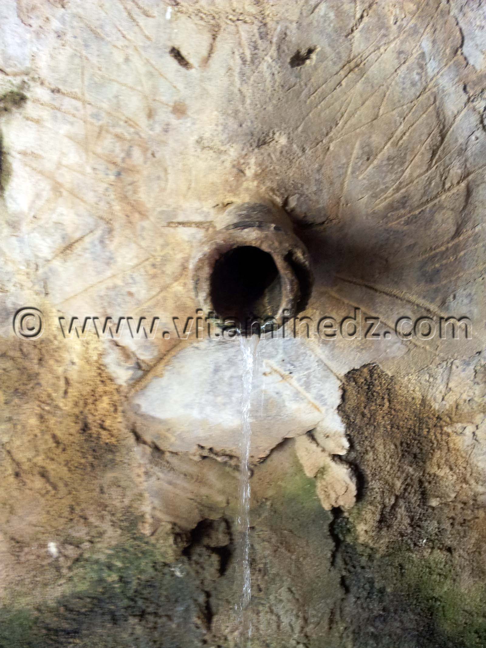 Sources d'eau Dar Essoltane, El Eubbad, Sidi Boumediene, Tlemcen.