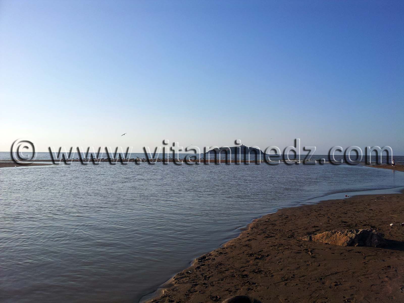 Embouchure Oued Tafna Plage de Rachgoune, Commune de Beni Saf