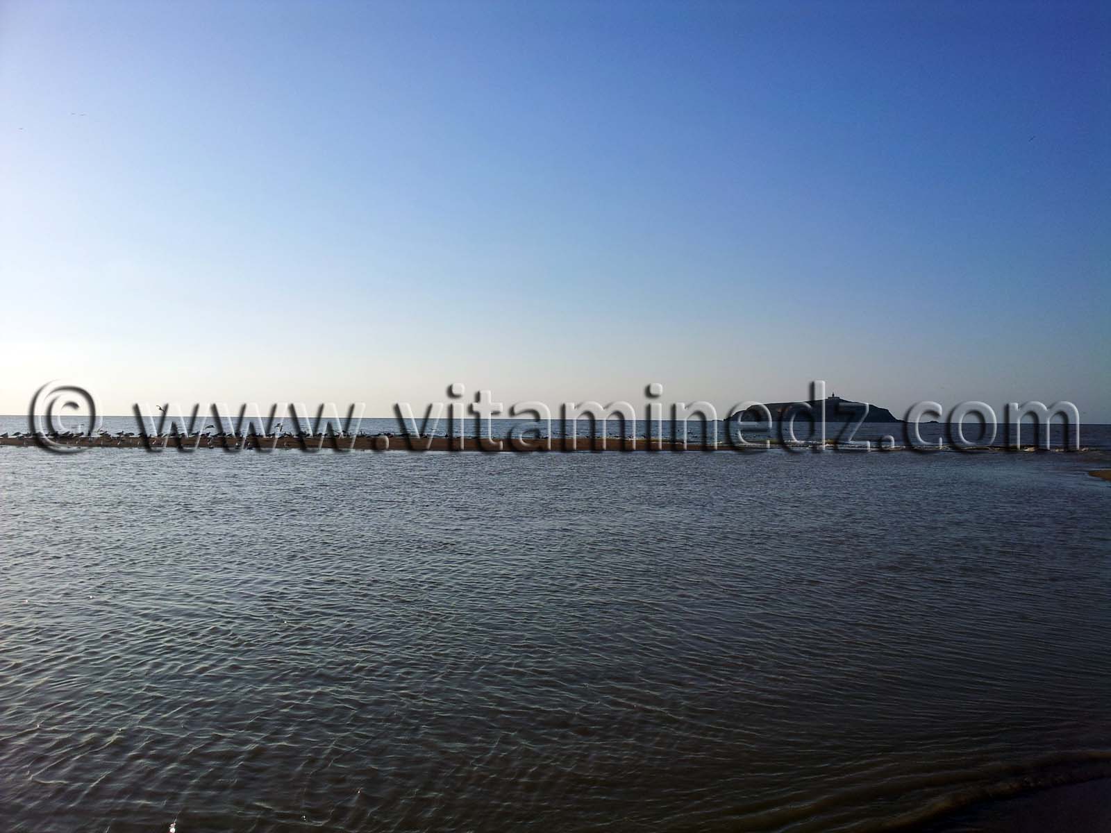 Embouchure Oued Tafna Plage de Rachgoune, Commune de Beni Saf