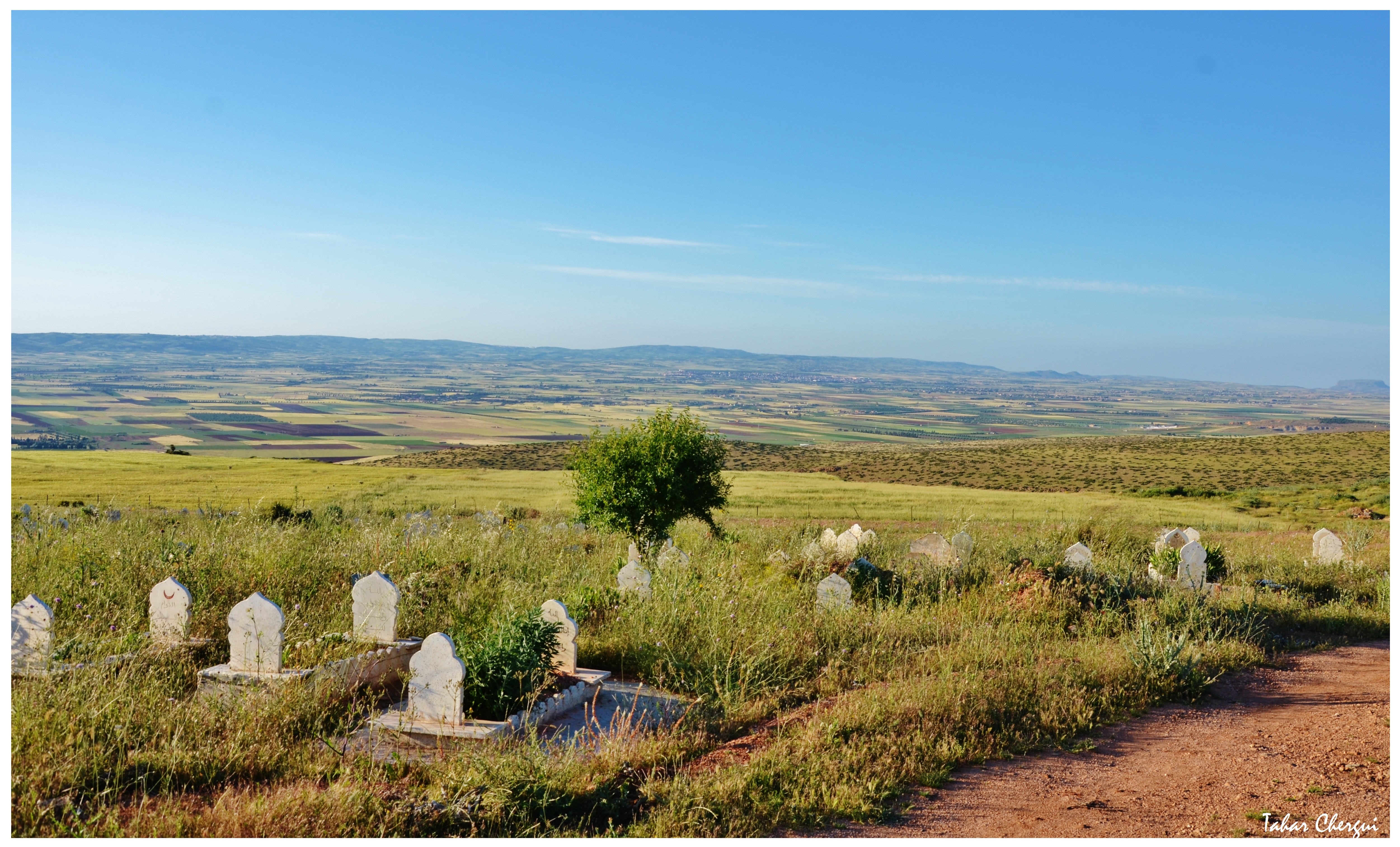 Hommage à nos défunts enterrés au Cimetière de Sidi Boussaïd
