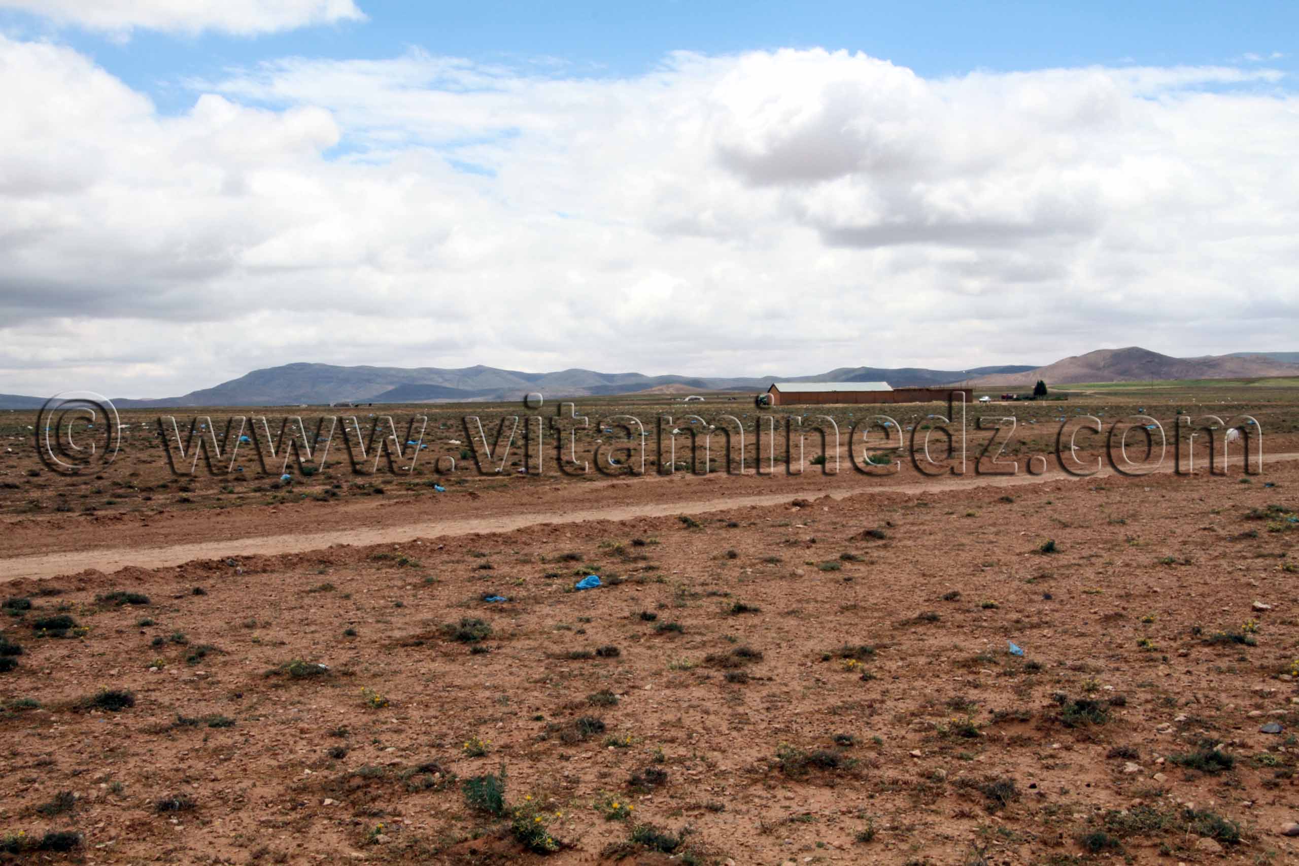 Tlemcen  Vaste plaine de Magoura, commune d'El Bouih