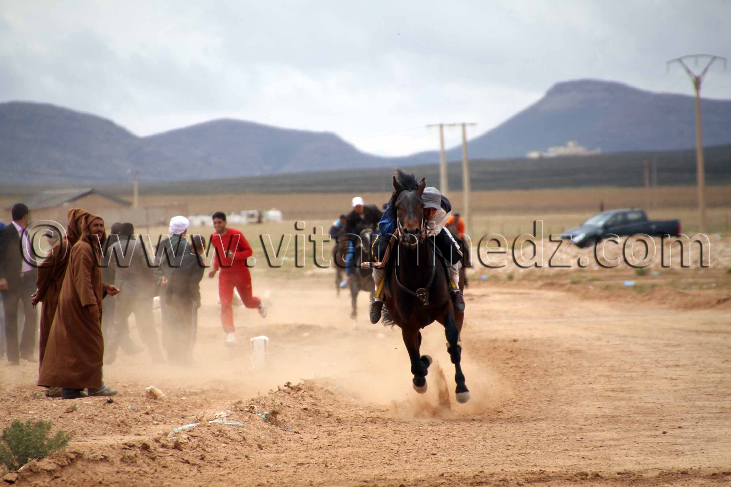 Course hippique regionale, Magoura, Tlemcen