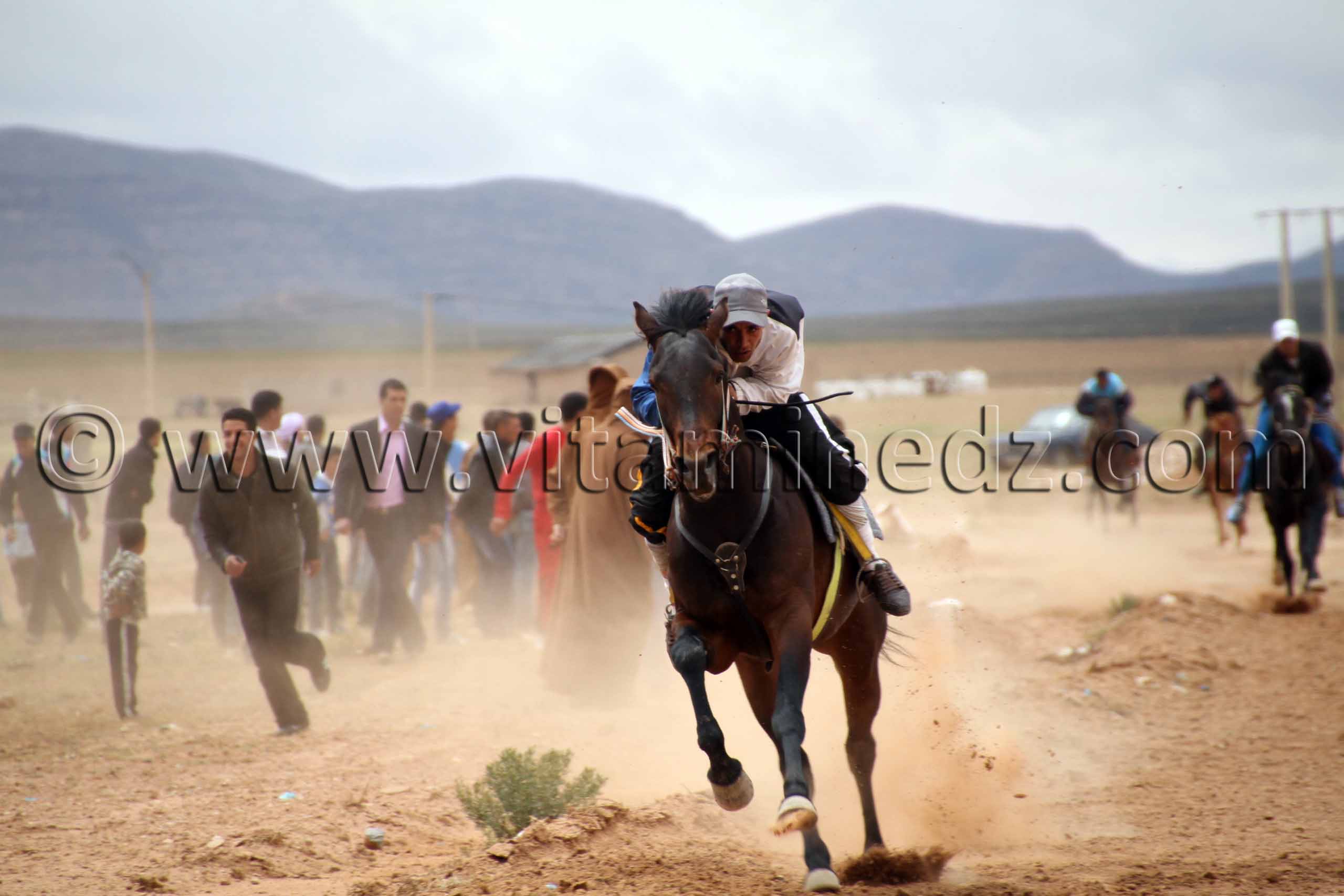 course hippique en direct, Magoura, Tlemcen