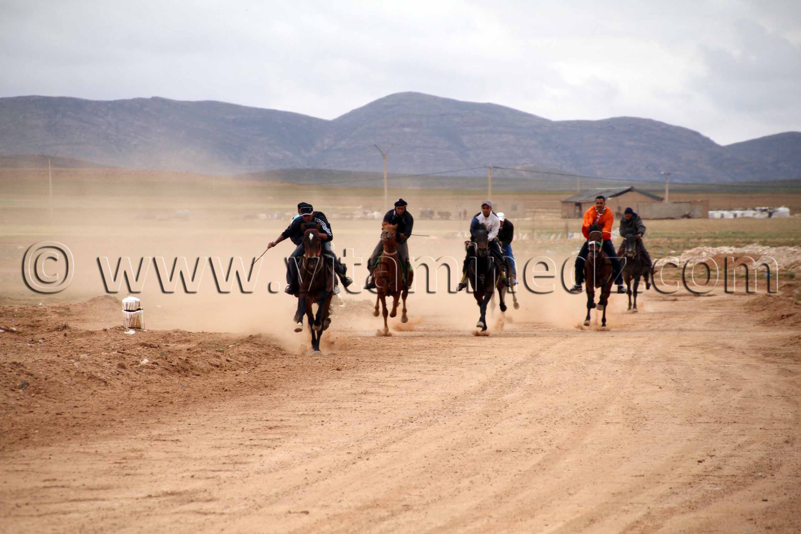 course hippique du jour de la waada de Magoura, Tlemcen