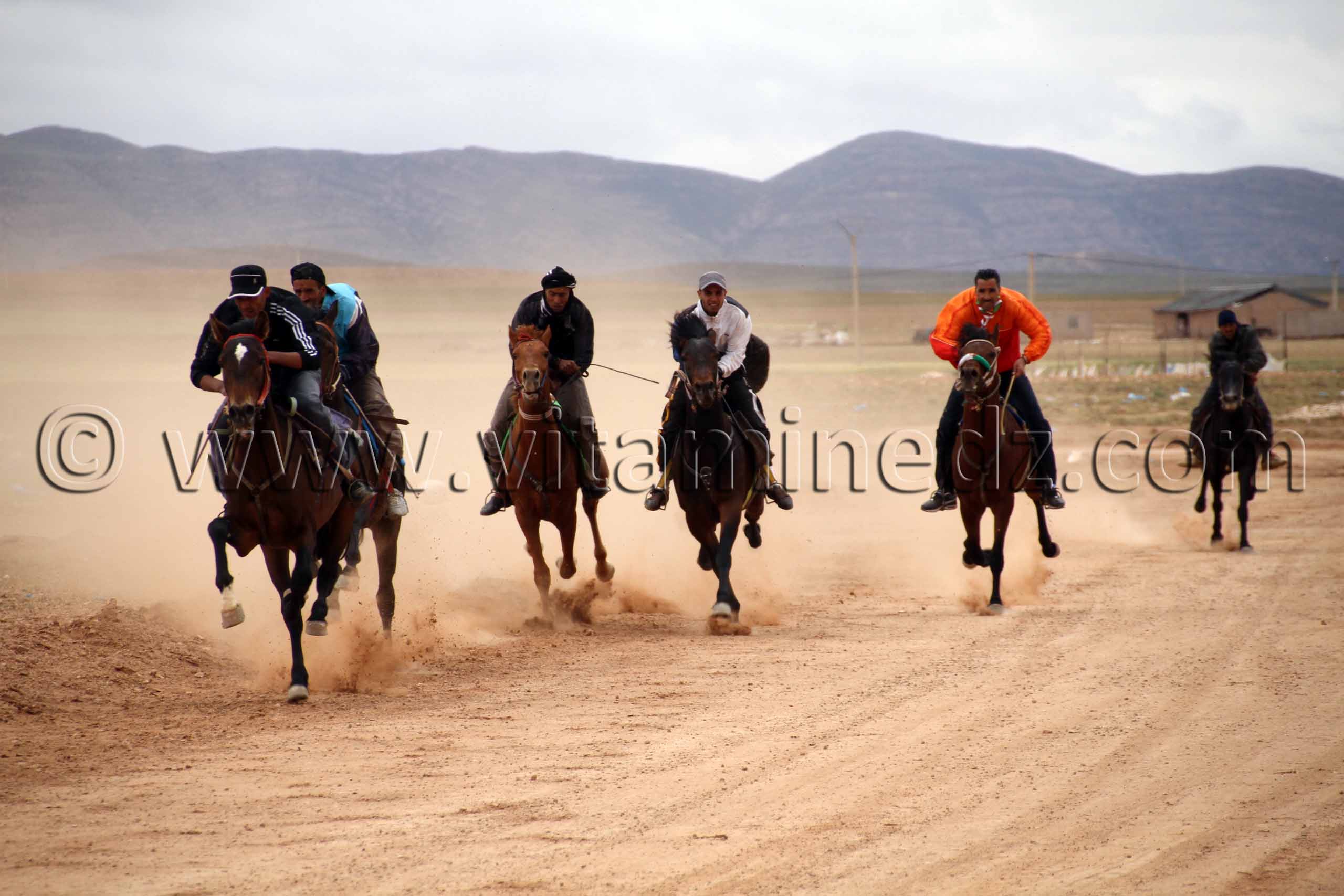 course cheval de la waada de Magoura, Tlemcen