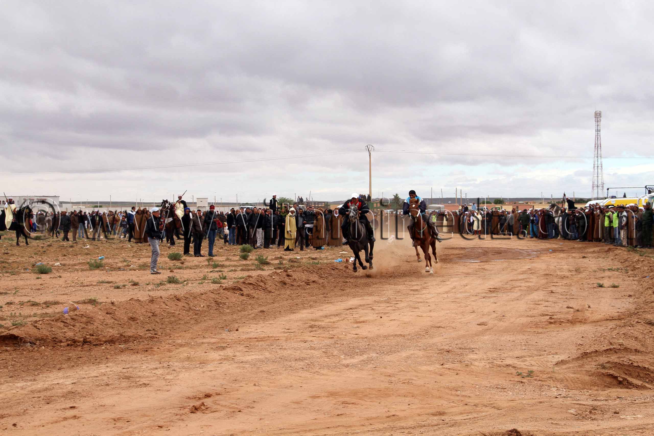 course chevaux en direct de la waada de Magoura, Tlemcen