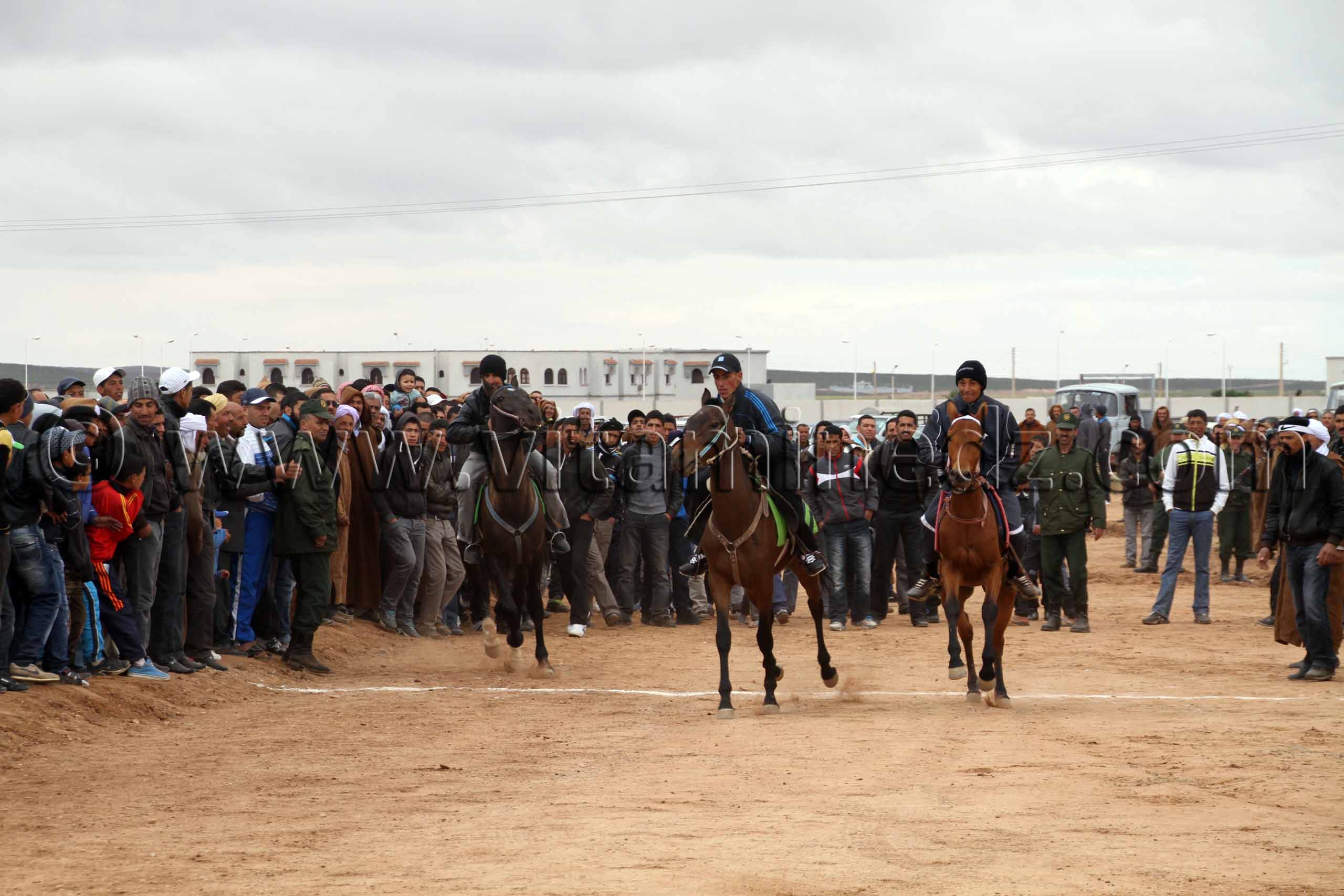 Courses chevaux  Waada de Magoura, commune d'El Bouihi, et course hippique organisée en parallèle