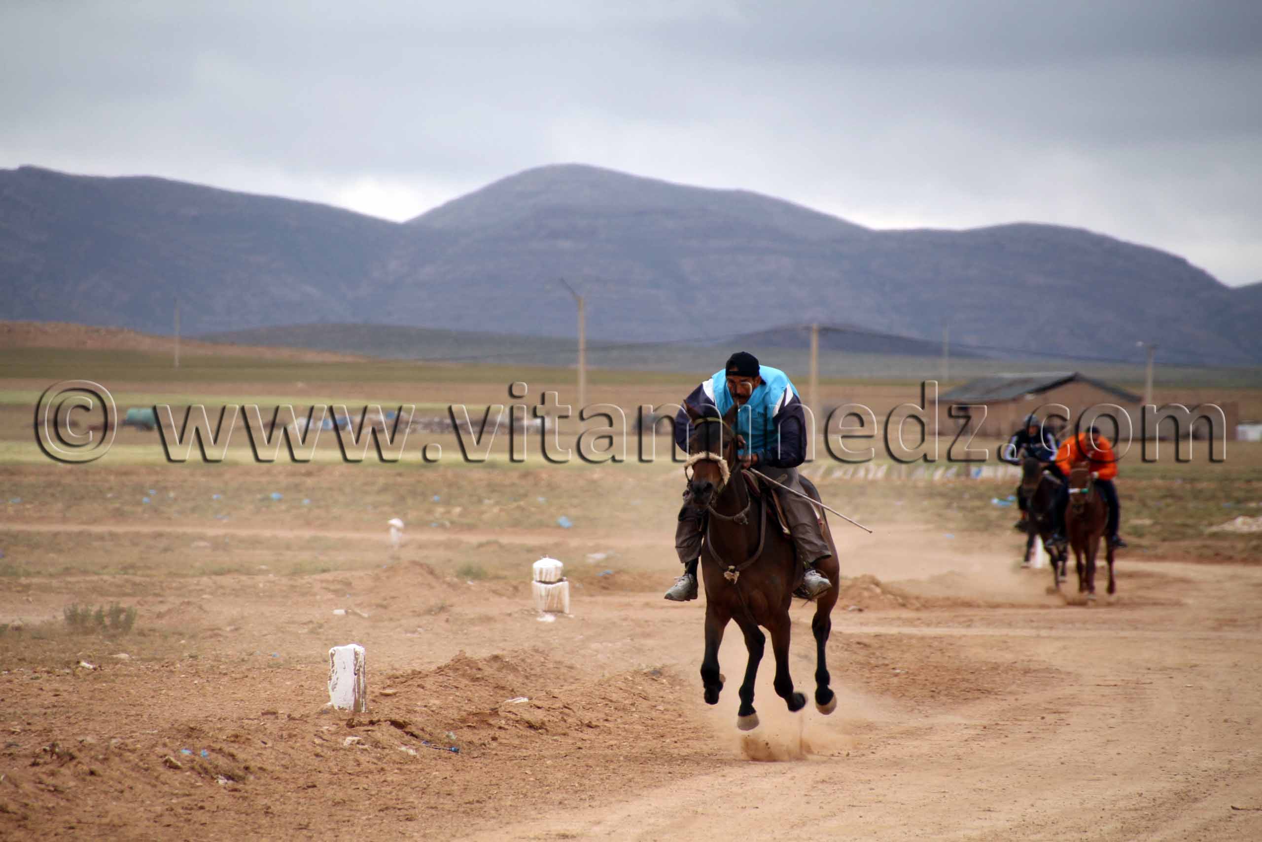 Courses chevaux  Algerie Waada de Magoura, commune d'El Bouihi, et course hippique organisée en parallèle