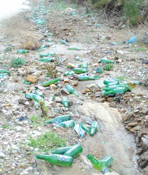 Algérie - Des millions de bouteilles de bière larguées dans la nature par an: Marché juteux cherche désespérément une industrie de recyclage!