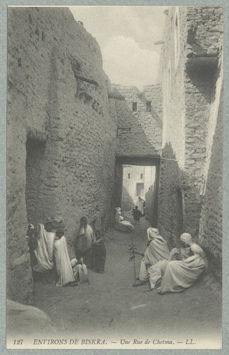Environs de Biskra.- Une Rue de Chetma