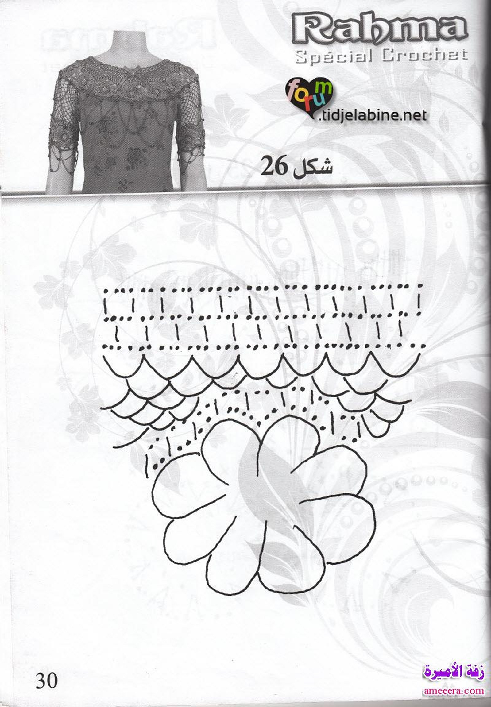 صدور كروشي 2013 الصفحة 31