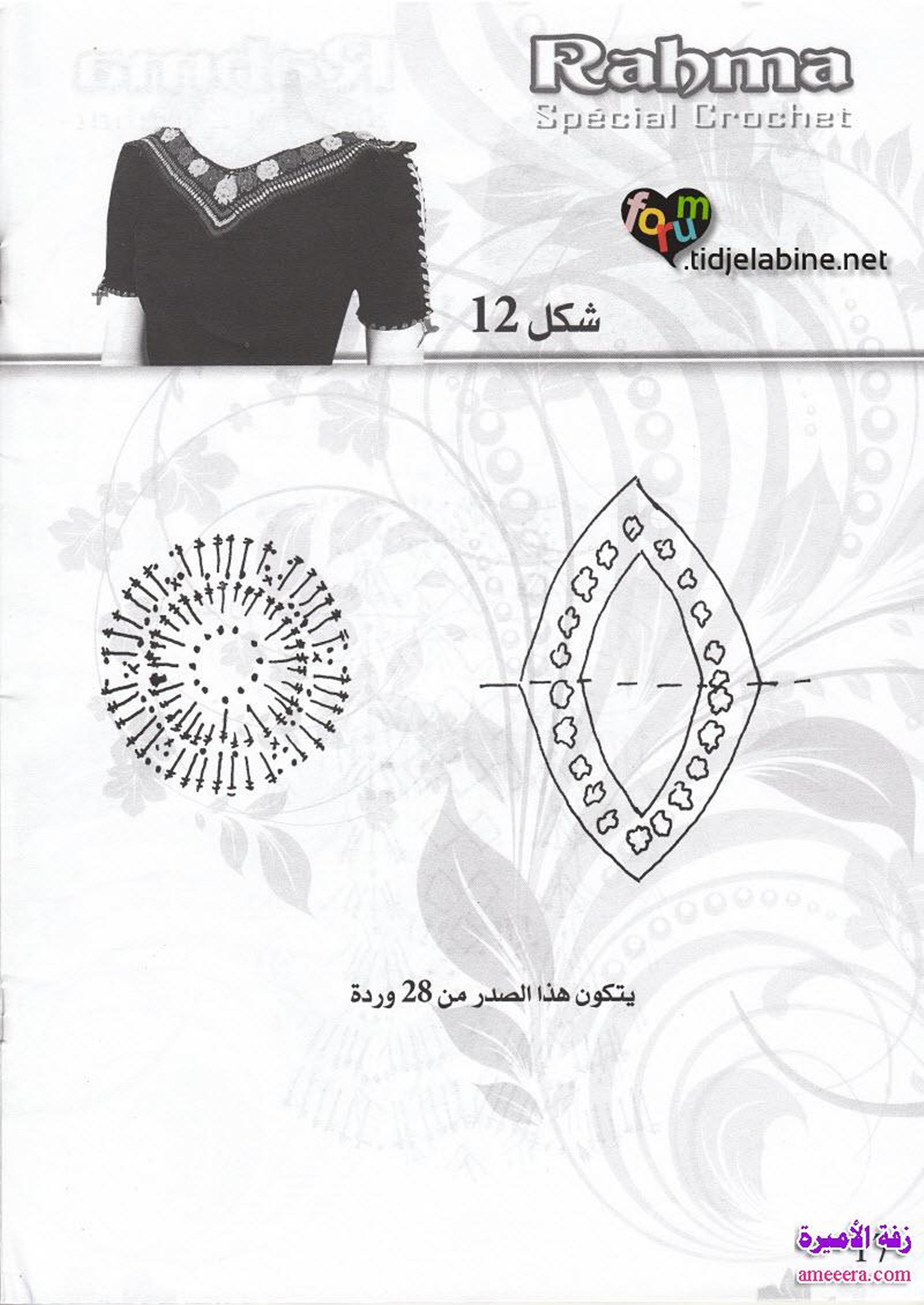 كروشي 2013 بالصور الصفحة 17