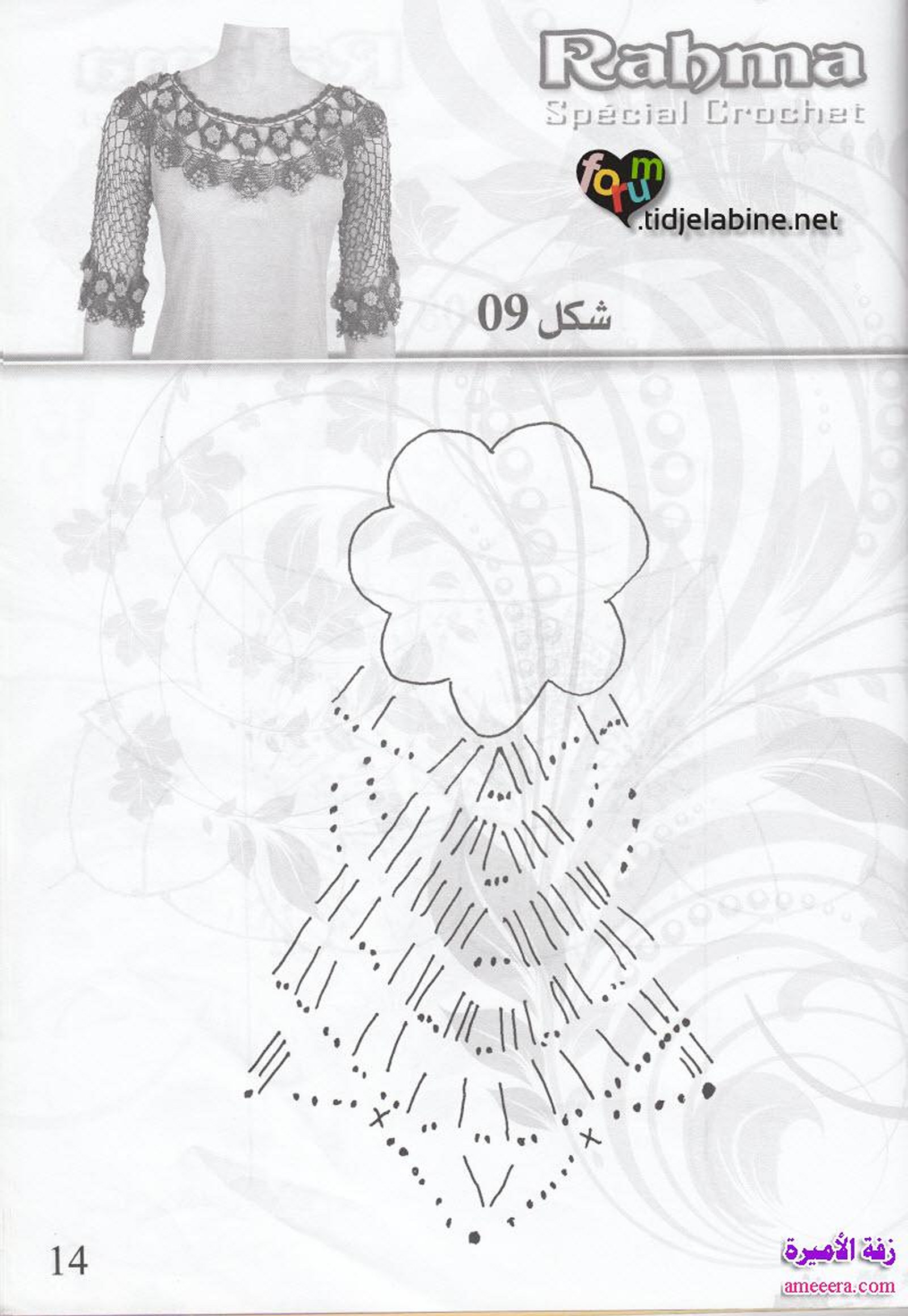 كروشي 2013 بالصور الصفحة 14