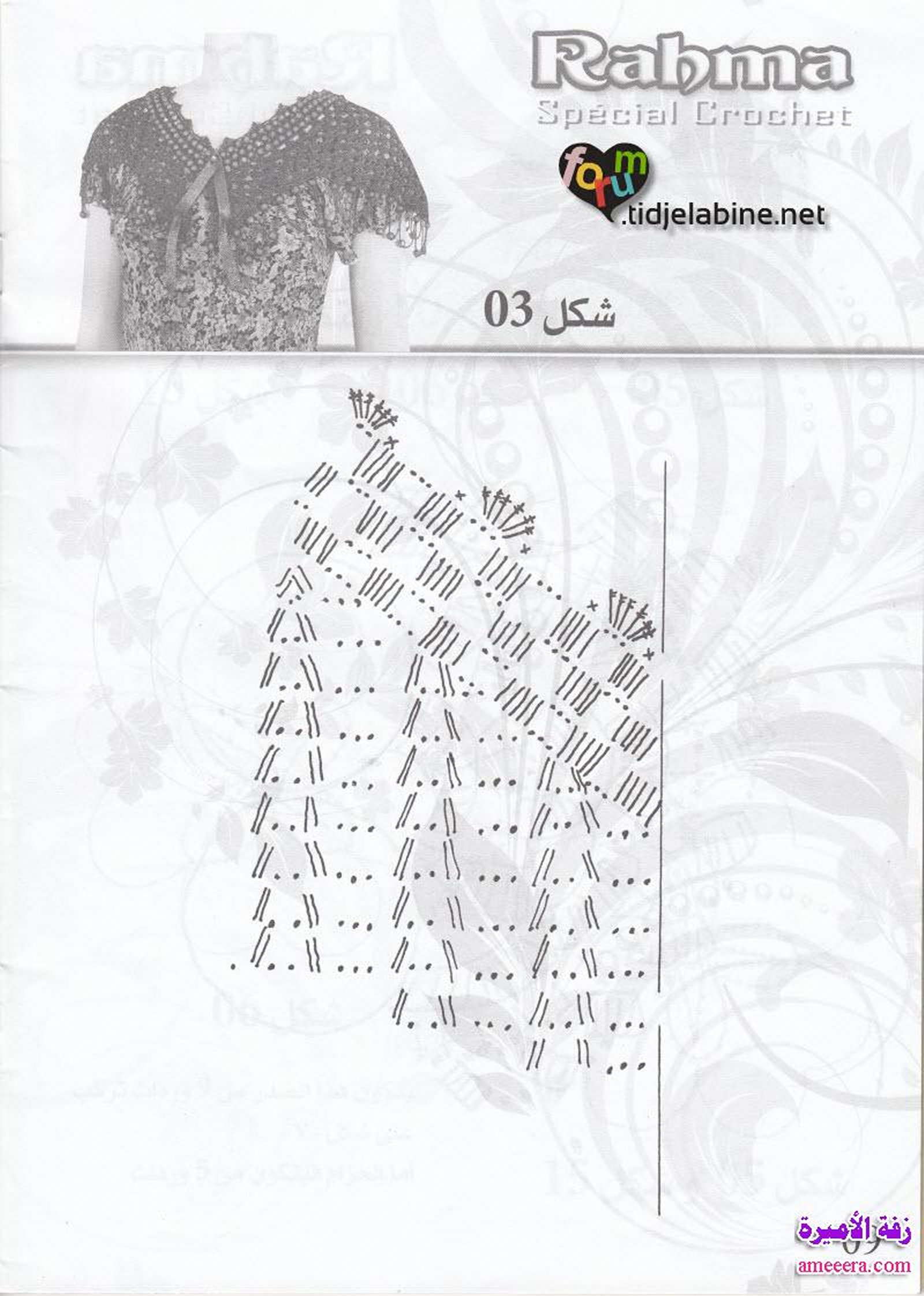 كروشي 2013 بالباترون الصفحة 9