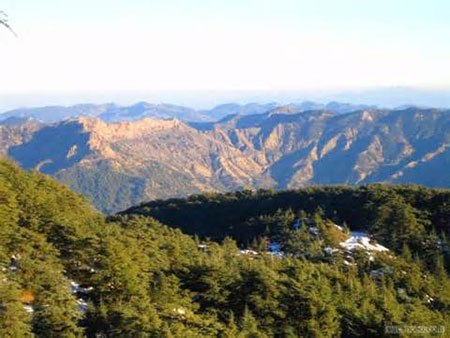 Montagnes de Chréa: Les vents du sud menacent le site