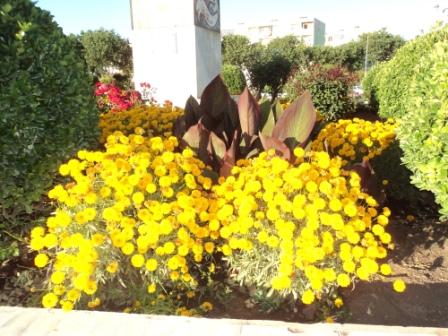 Place du 8 mai 1945 à Sétif