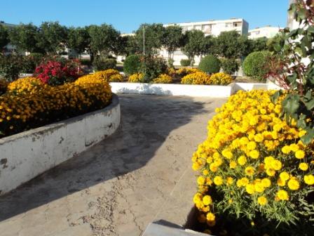 Place du 8 mai 1945 à Sétif