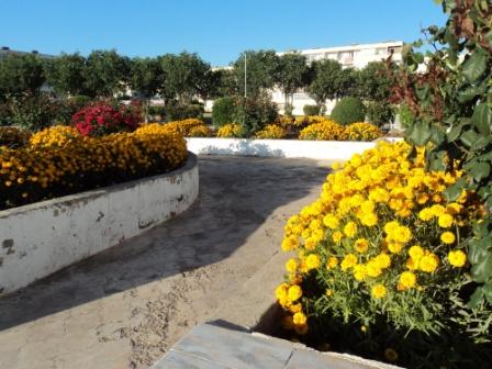 Place du 8 mai 1945 à Sétif