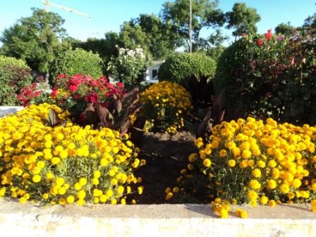 Place du 8 mai 1945 à Sétif