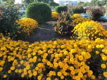 Place du 8 mai 1945 à Sétif