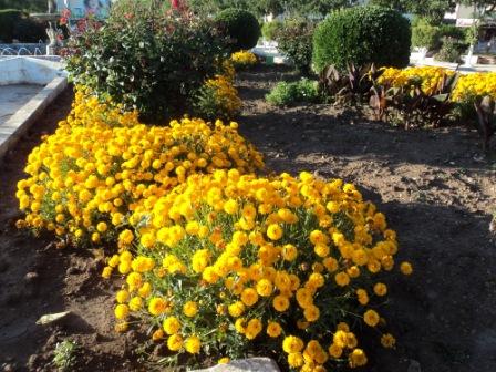 Place du 8 mai 1945 à Sétif