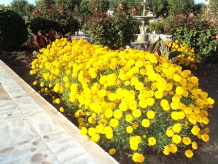 Place du 8 mai 1945 à Sétif