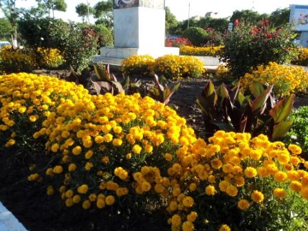 Place du 8 mai 1945 à Sétif