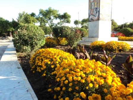 Place du 8 mai 1945 à Sétif