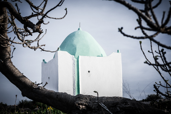 Sidi Mohamed El Borzini