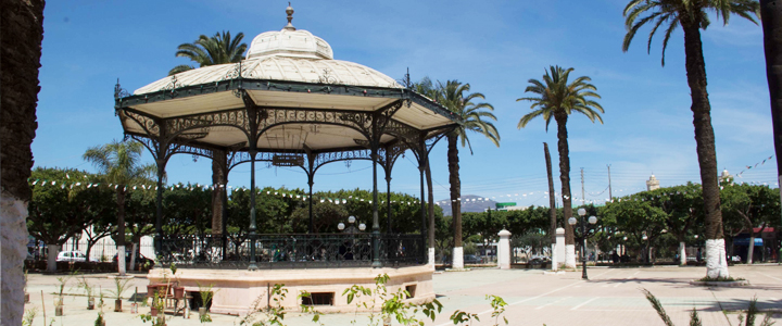 Site officiel de la Daïra de Hadjout