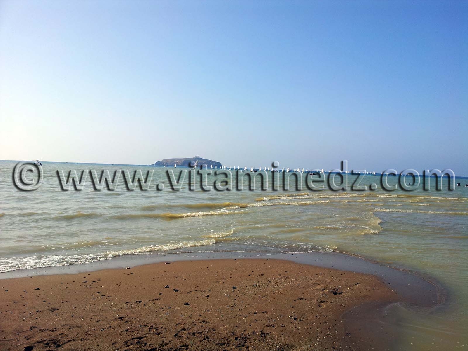 RÉGATE NATIONALE DE VOILE Près de 100 participants à Rachgoune