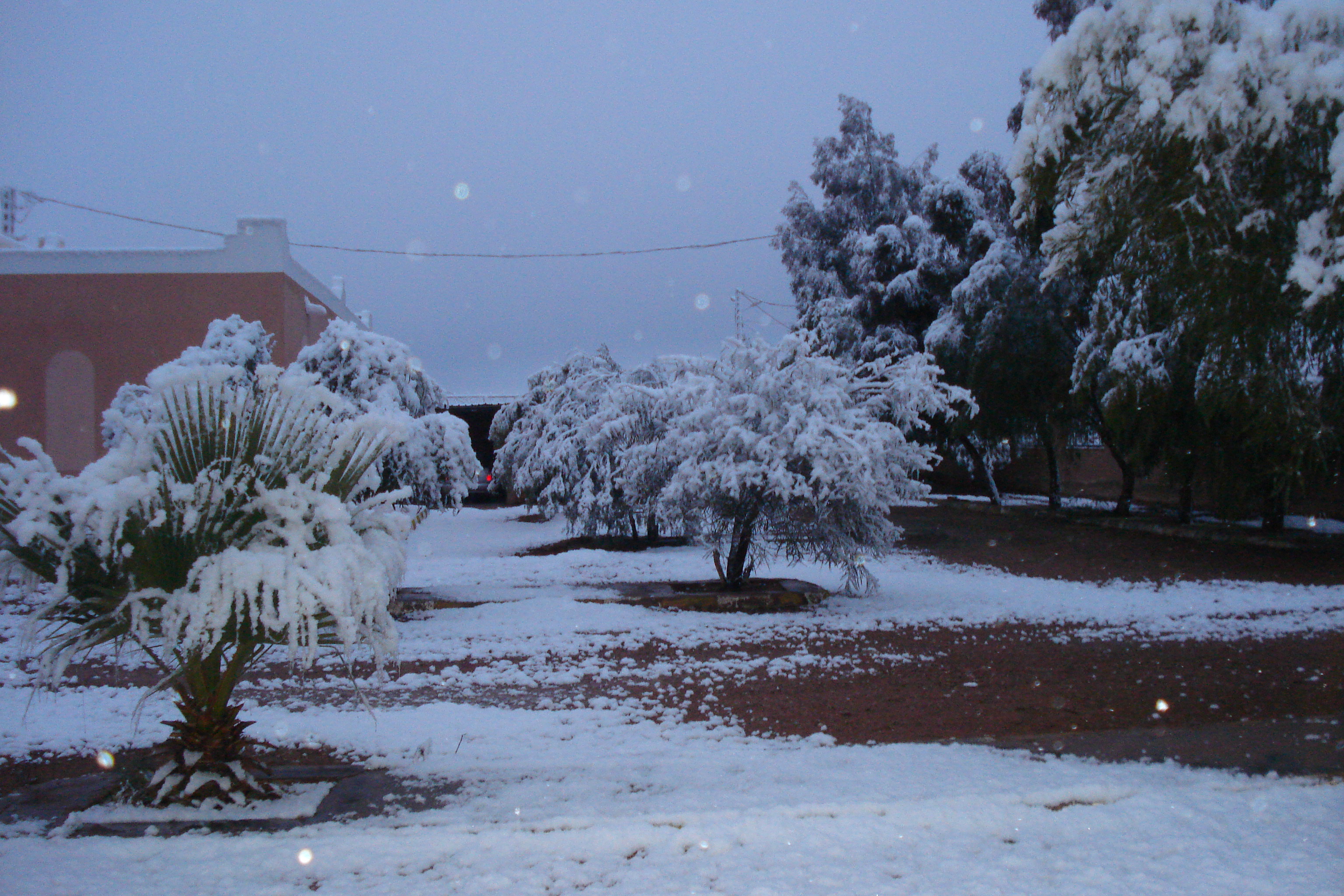تساقط الثلوج ببلدية موغل بشار