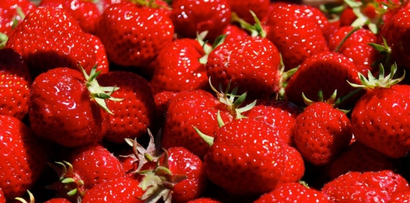 Planète - CEE: Alerte aux pesticides dans les fraises