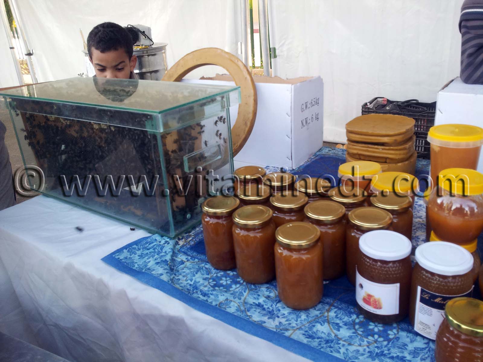 Photos Tlemcen  Exposition de Miel aux journées du Terroir au plateau de Lalla Setti