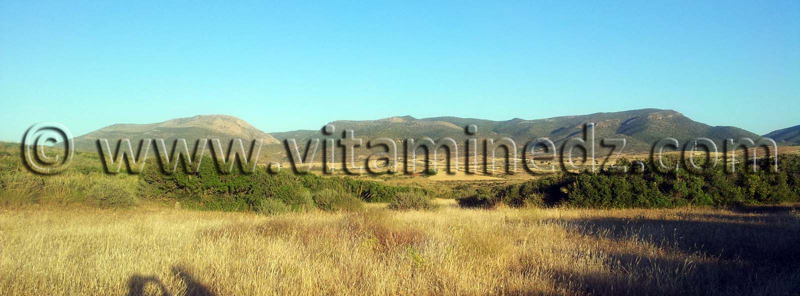 Tagma, coté Sidi El Abdelli