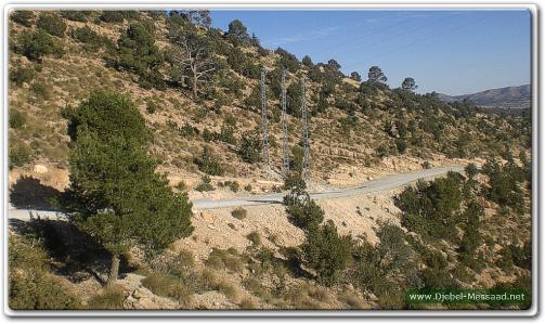 M'sila - Loisirs: La forêt de Djebel Messaâd paradis des randonneurs