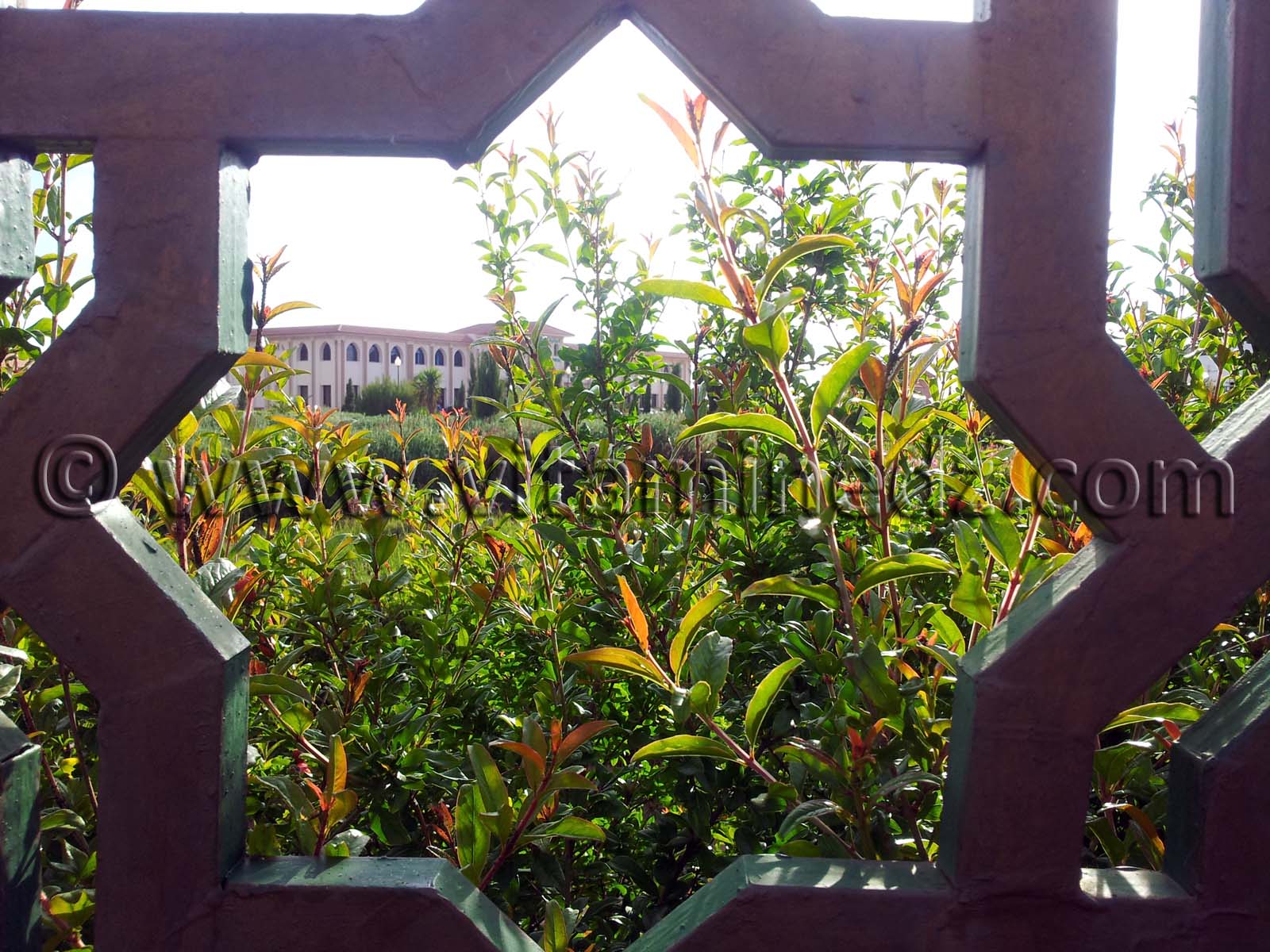 Parc National de Tlemcen (Siège à Lalla Setti)