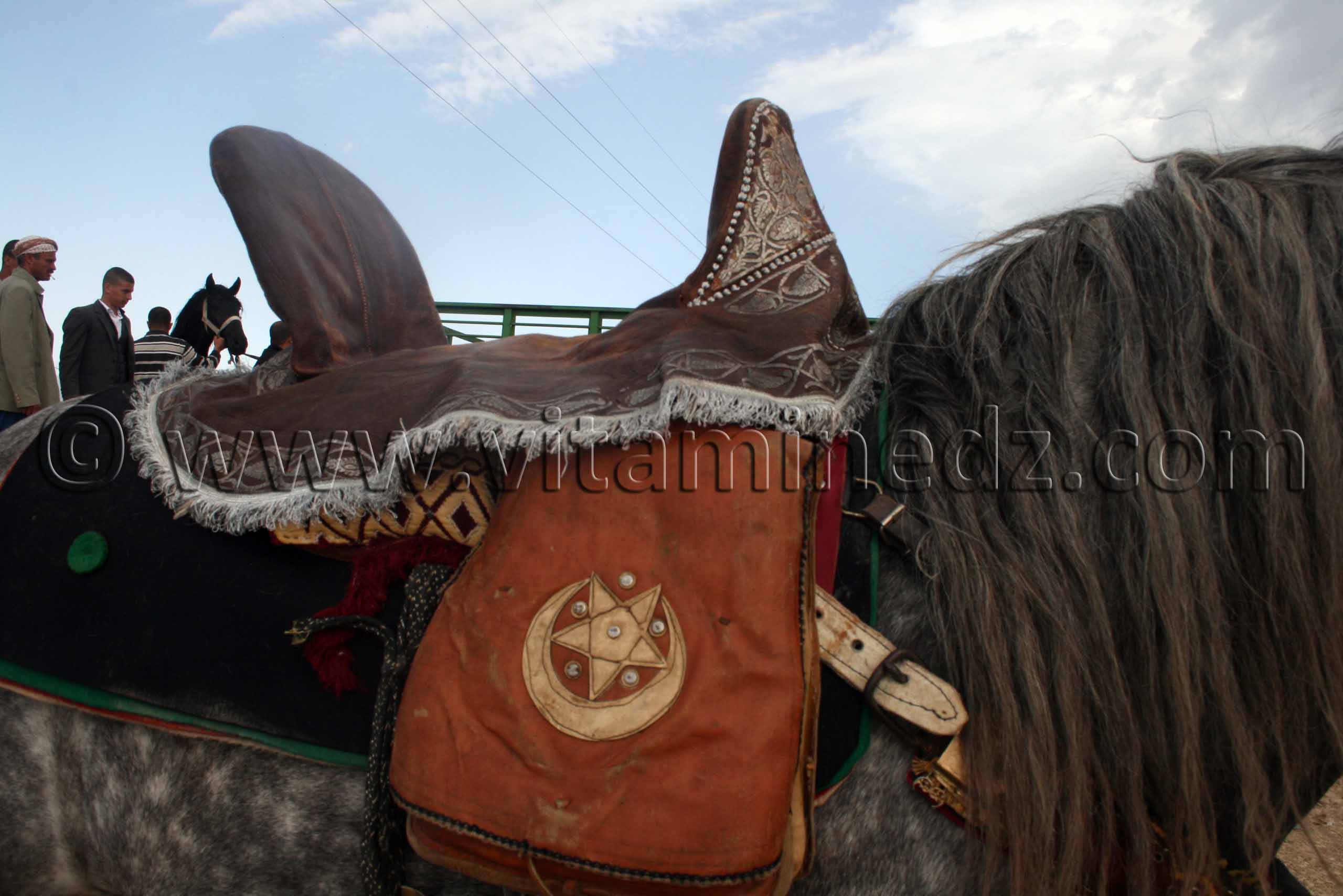 Salon du Cheval de Tiaret (8ème édition - Juin 2013) - Fantasia, fête populaire.