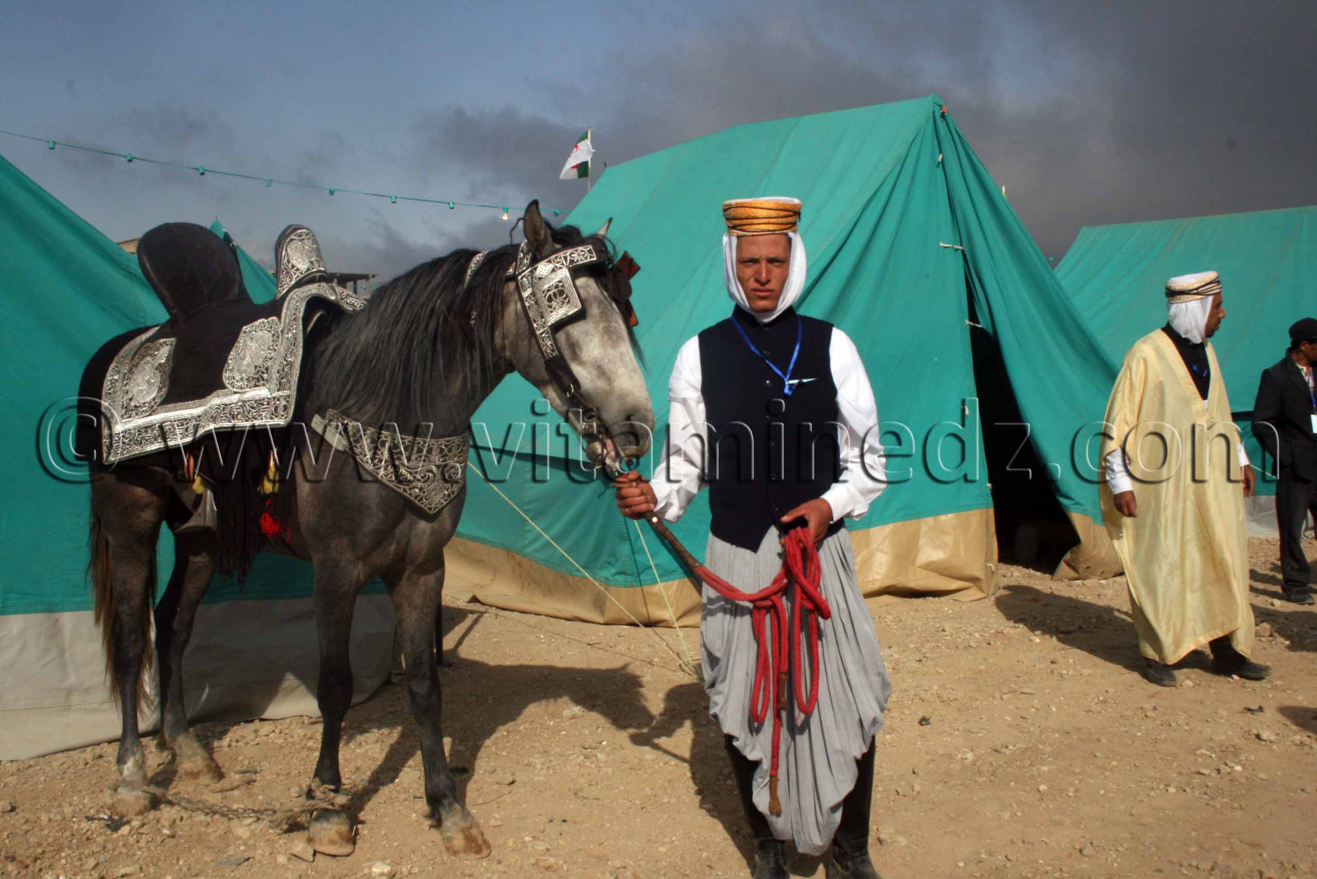 Cavalier et tenue traditionnelle Salon du Cheval de Tiaret (8ème édition - Juin 2013) - Fantasia, fête populaire.
