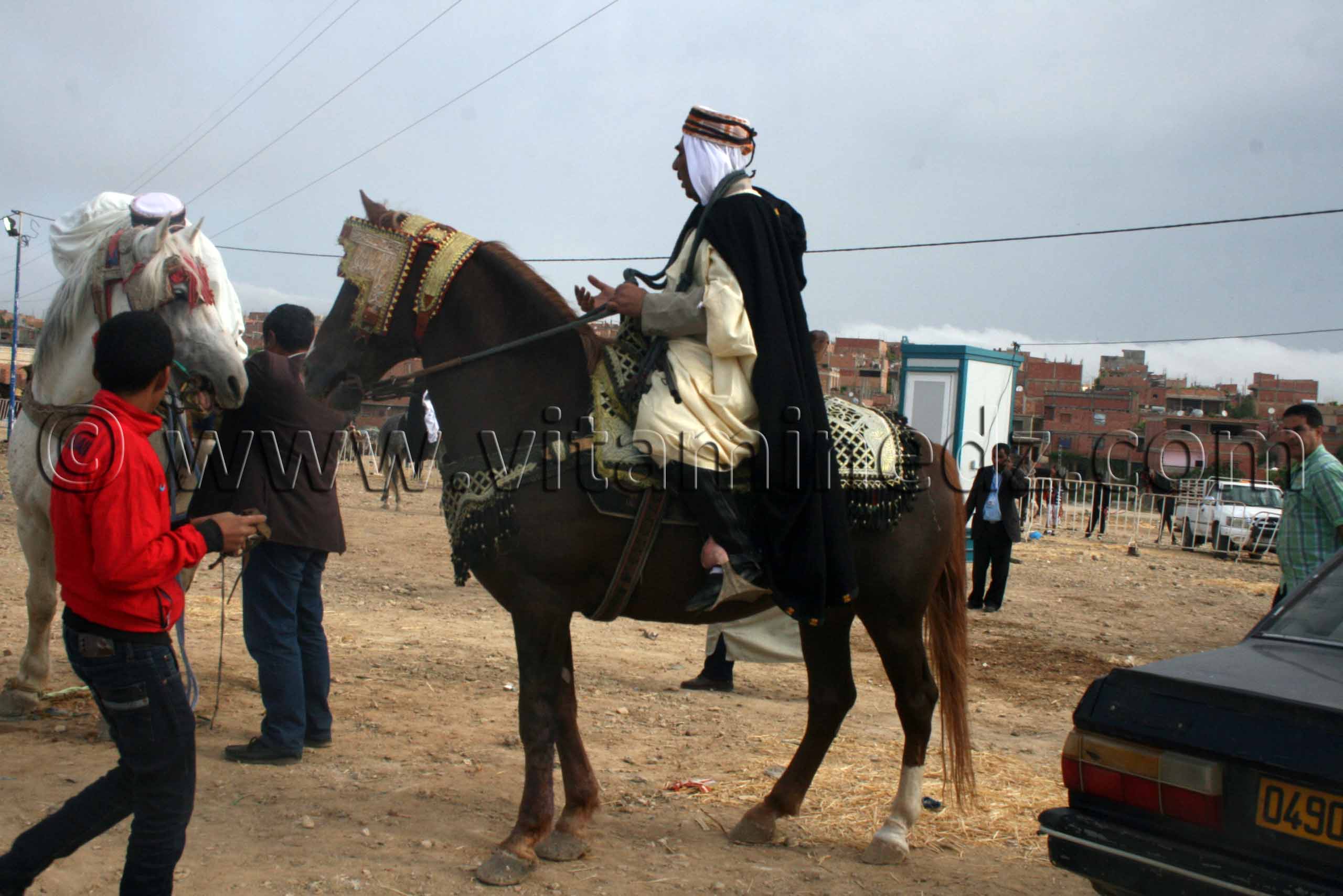 Salon du Cheval de Tiaret (8ème édition - Juin 2013) - Fantasia, fête populaire.