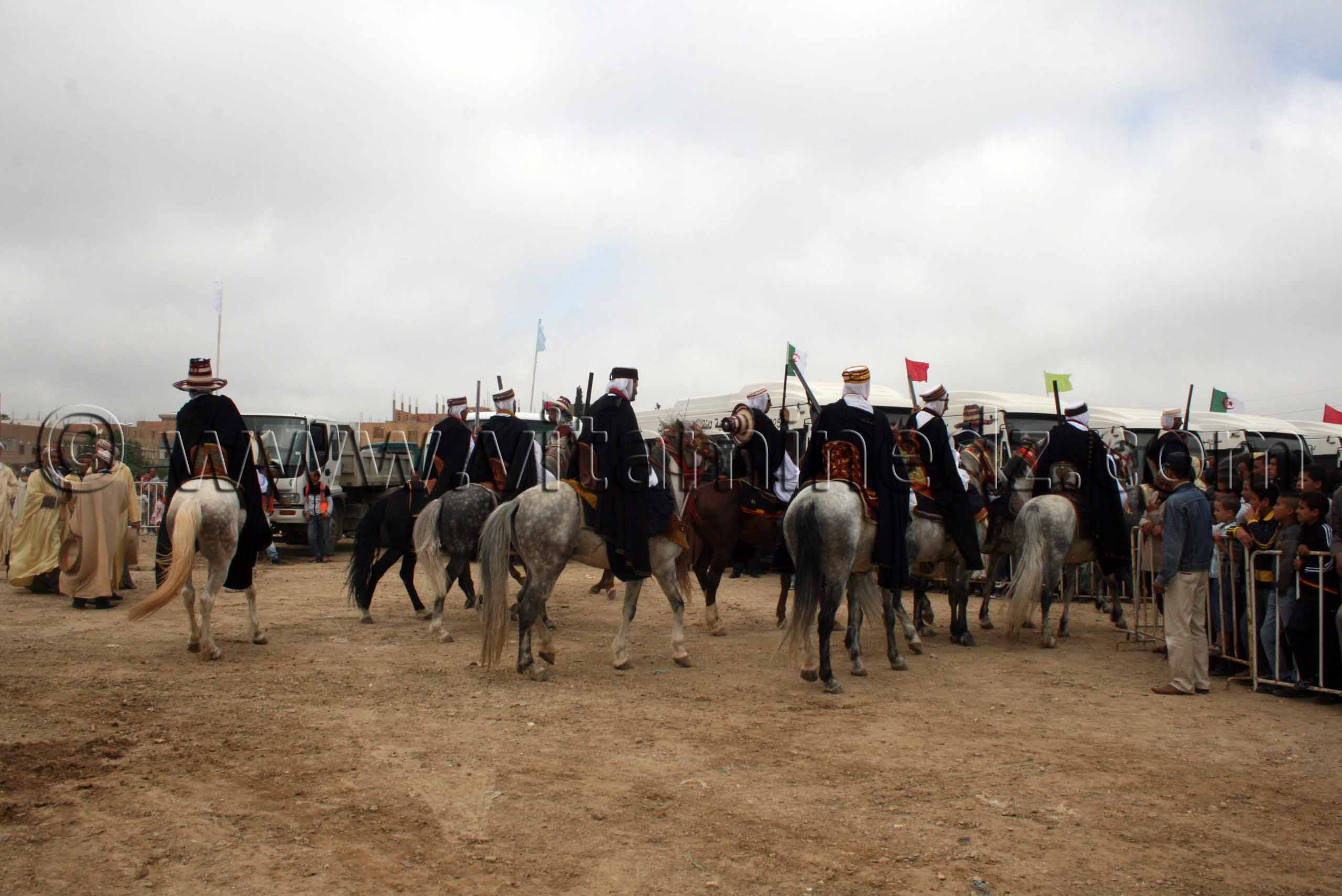 Chevaux en préparatif du Salon du Cheval de Tiaret (8ème édition - Juin 2013) - Fantasia, fête populaire.