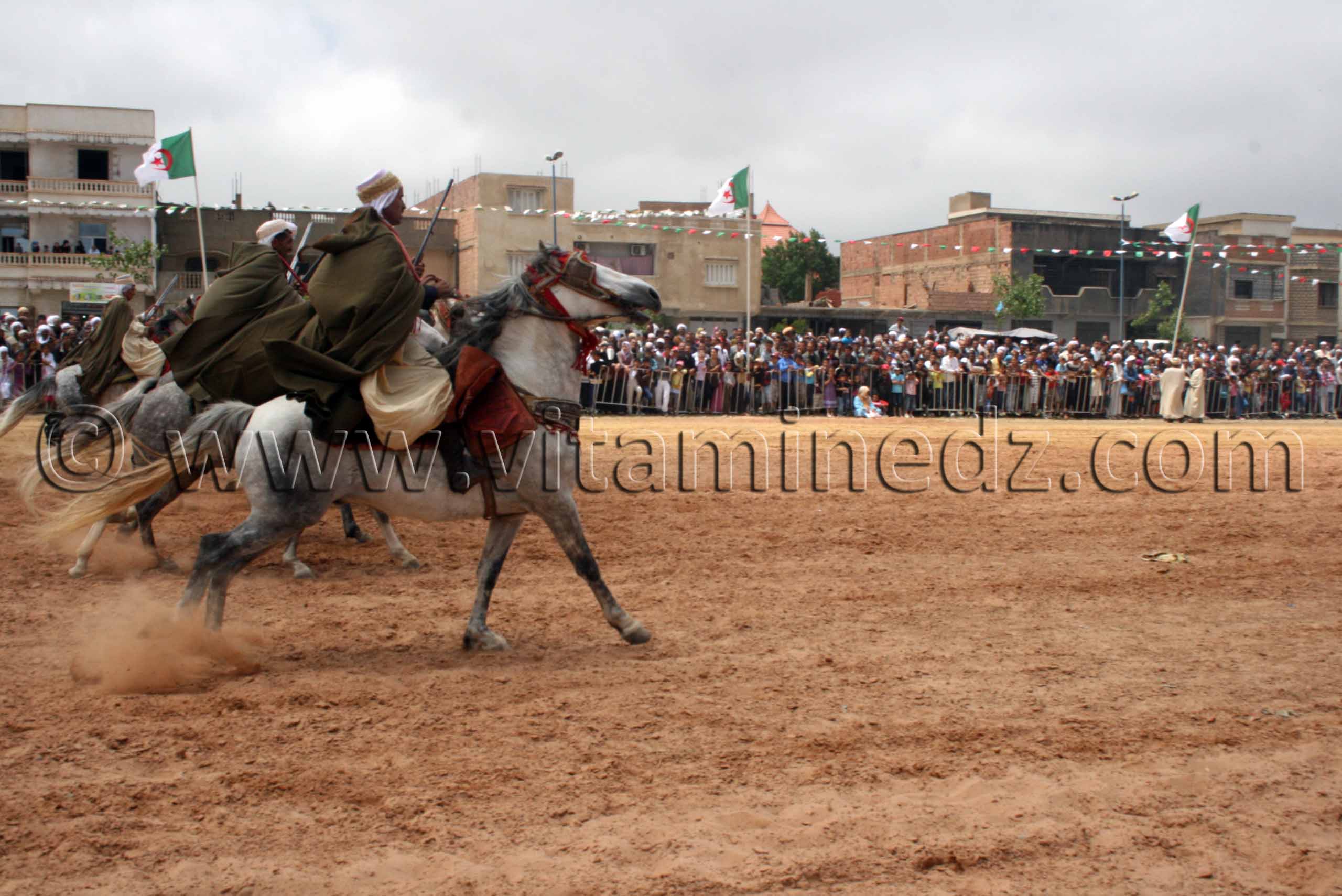 Fantasia Salon du Cheval de Tiaret (8ème édition - Juin 2013)