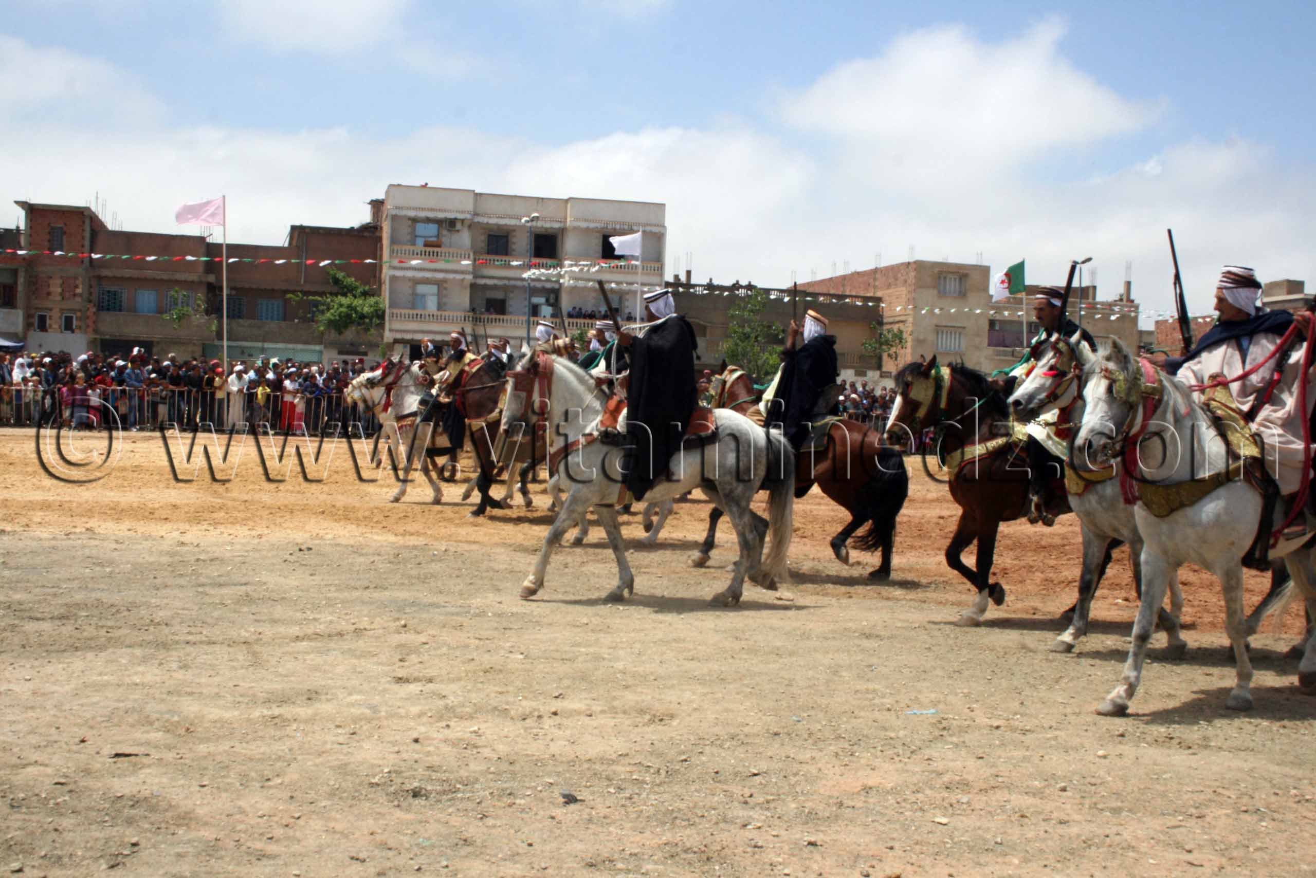 Salon du Cheval de Tiaret (8ème édition - Juin 2013) - Fantasia, fête populaire.
