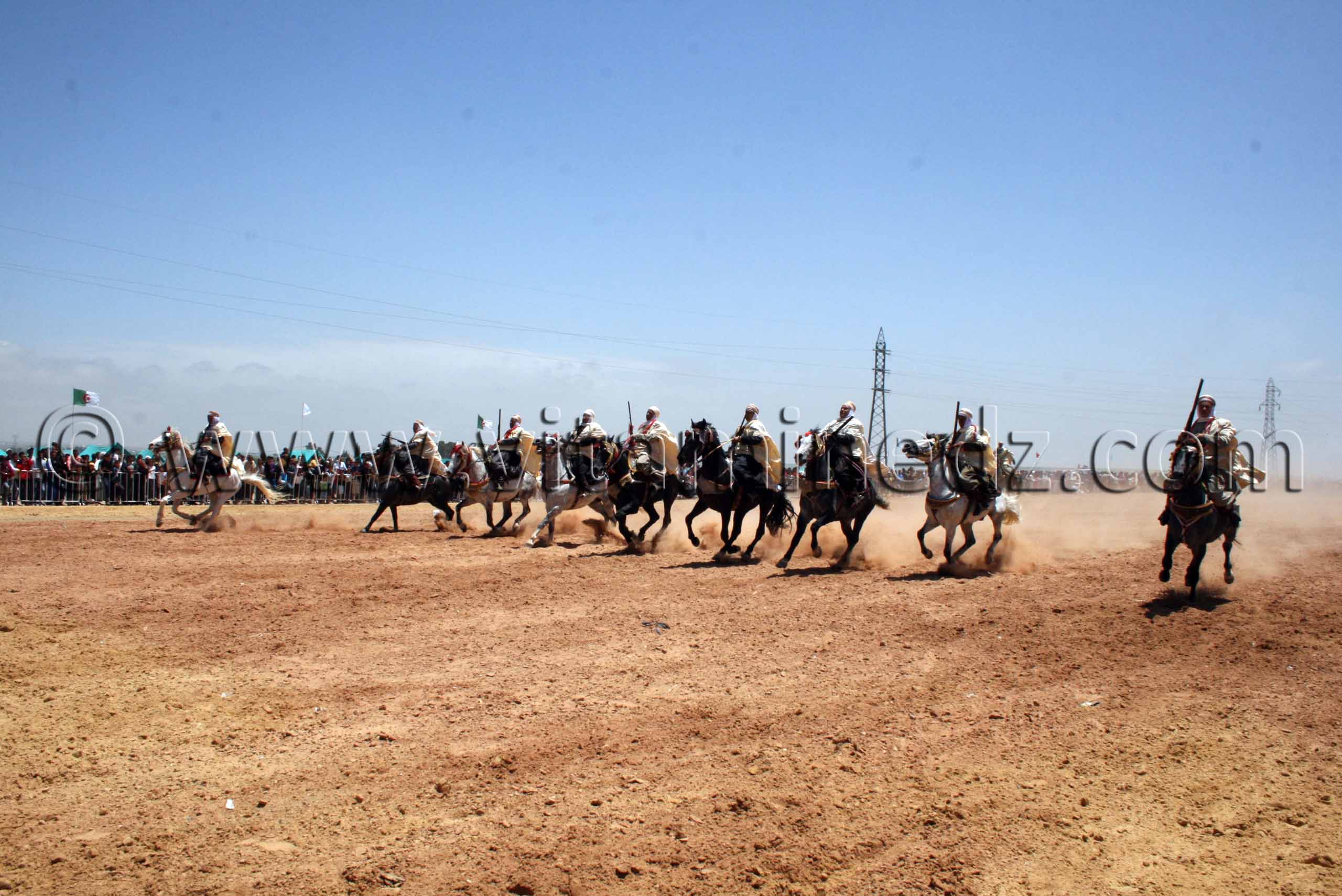 Salon du Cheval de Tiaret (8ème édition - Juin 2013) - Fantasia, fête populaire.