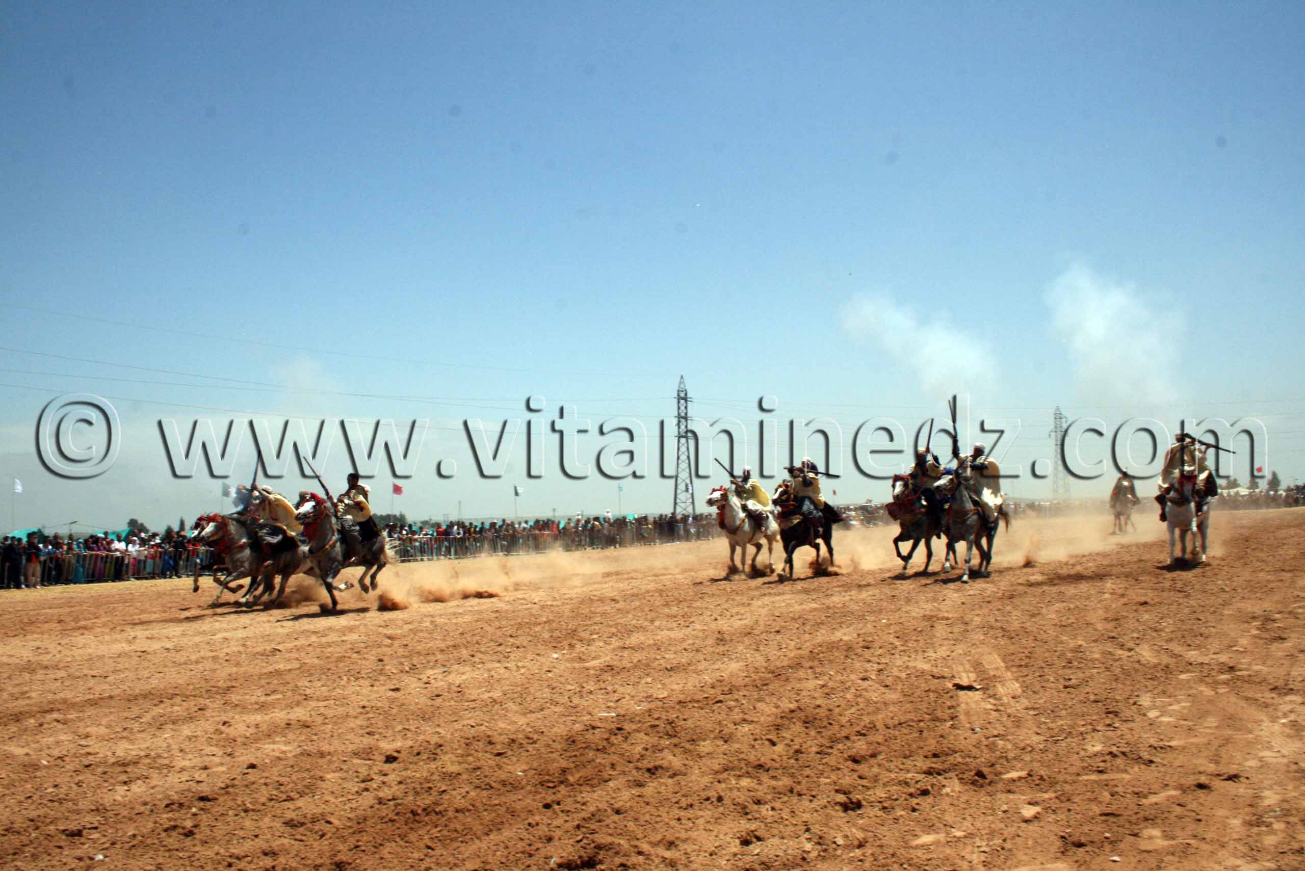 Fantasia au Salon du Cheval de Tiaret (8ème édition - Juin 2013)